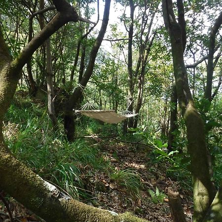 Nature Inn Madeira - Glamping Porto Moniz Exterior foto
