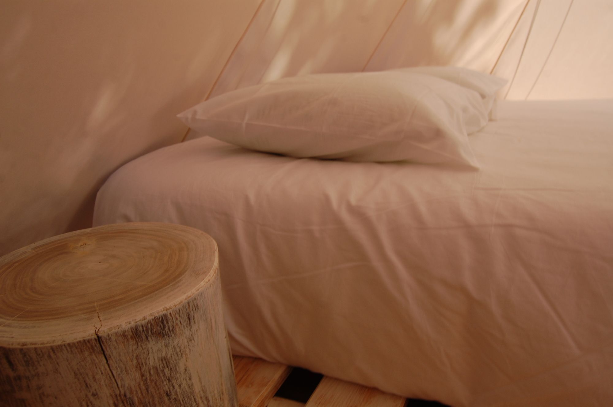 Nature Inn Madeira - Glamping Porto Moniz Exterior foto