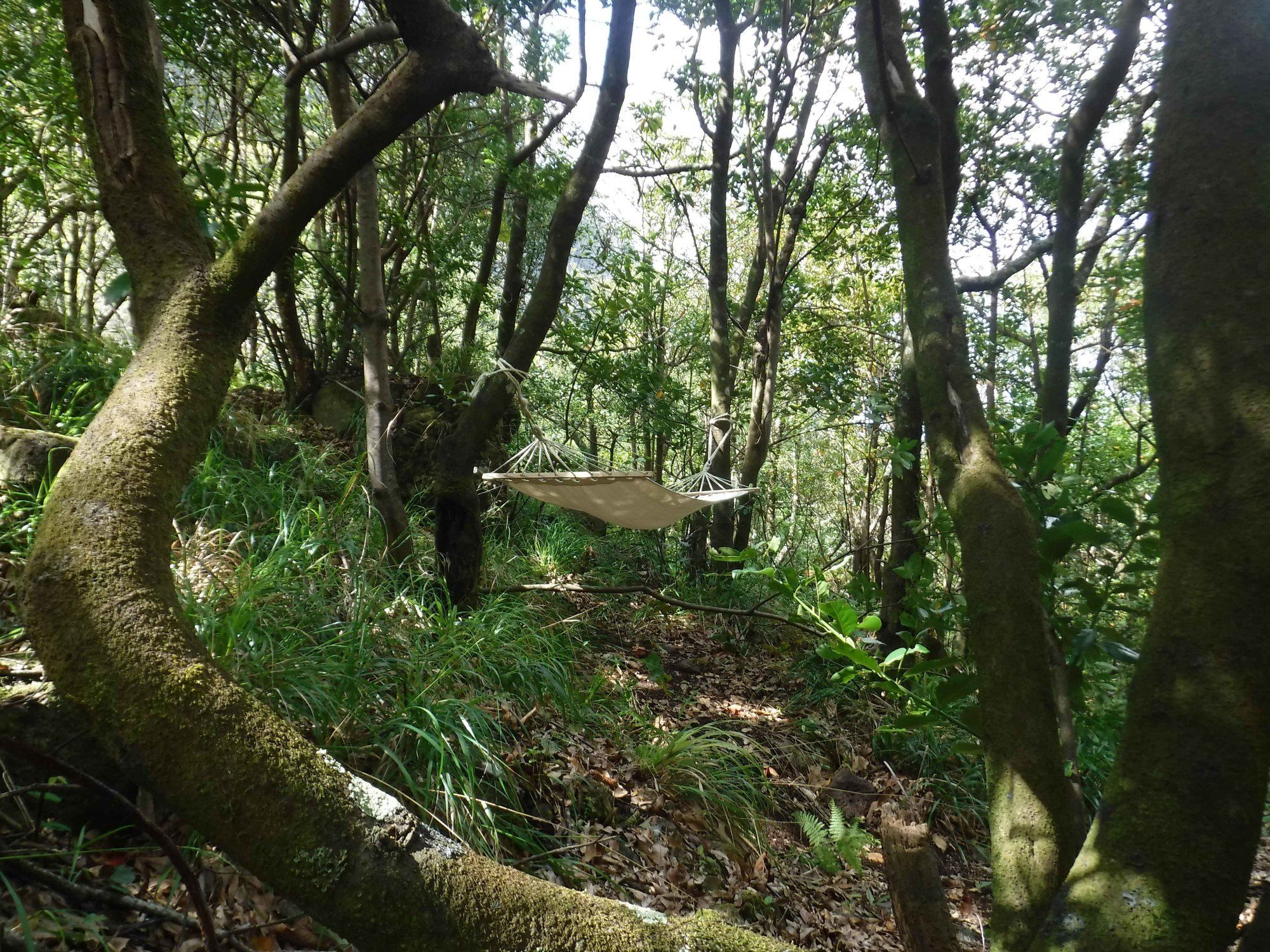 Nature Inn Madeira - Glamping Porto Moniz Exterior foto